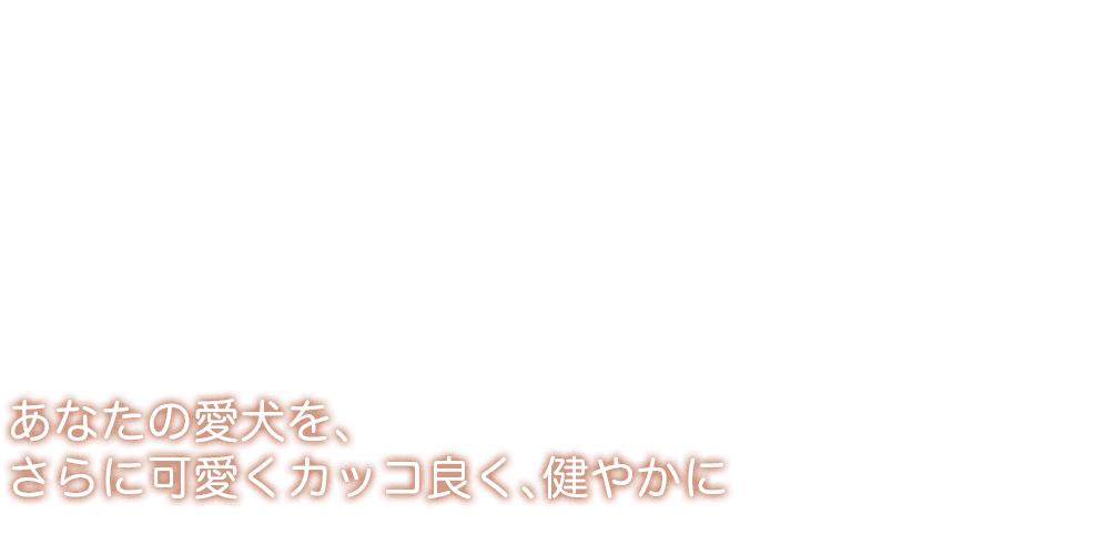 あなたの愛犬を、さらに可愛くカッコ良く、健やかに